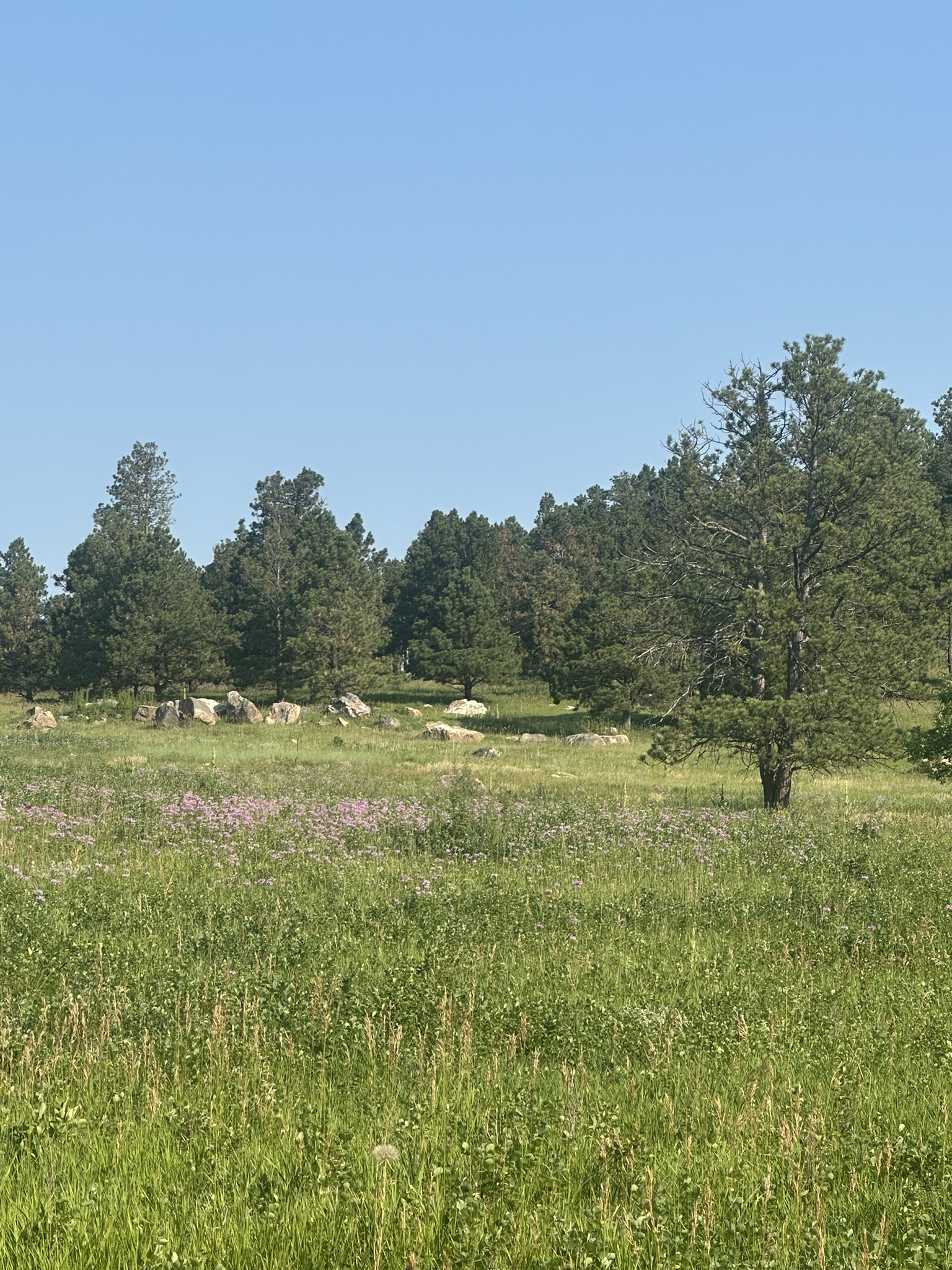South Dakota - Image 51
